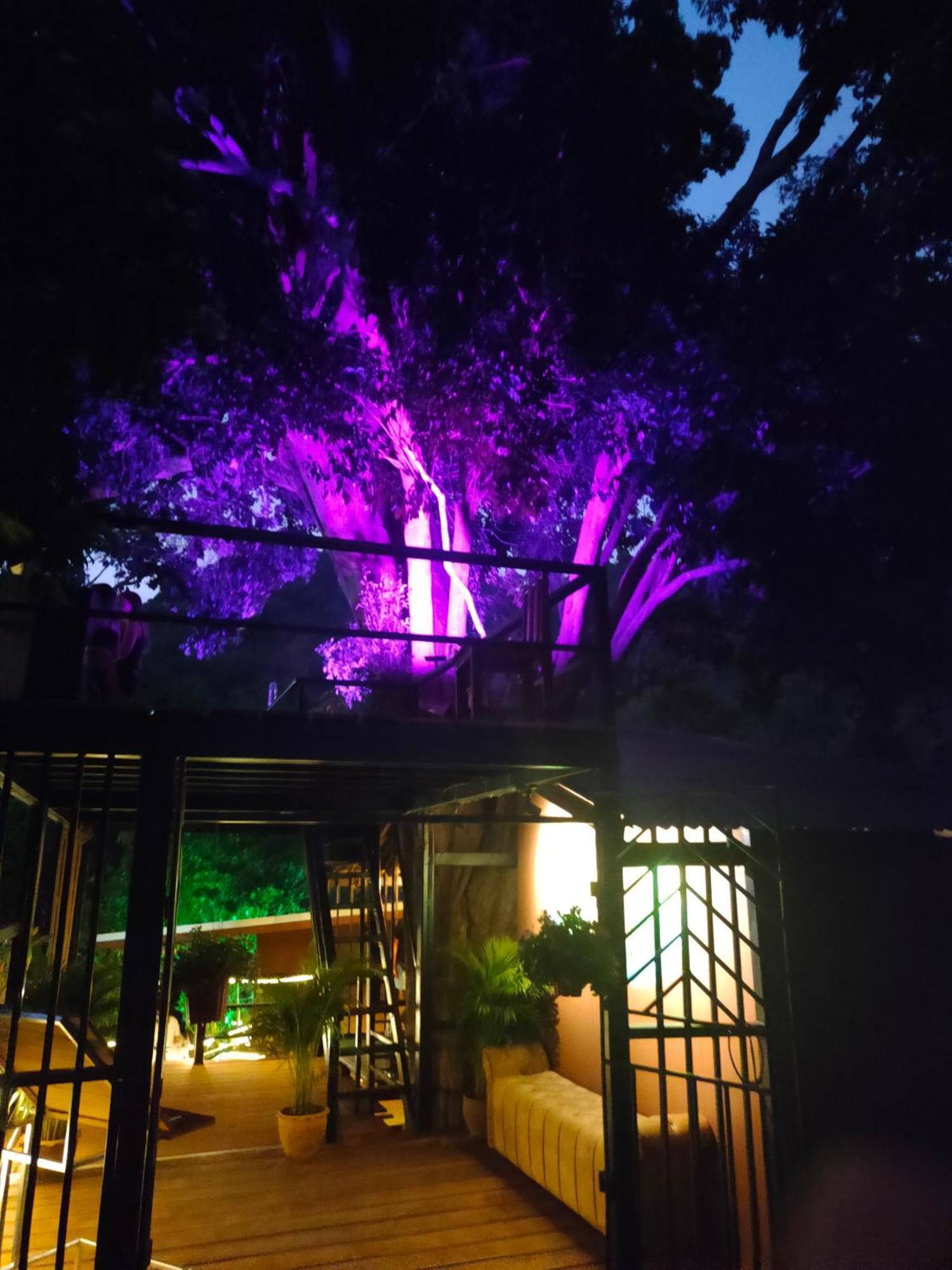 Karon Phuket Jungle Experience Resort מראה חיצוני תמונה