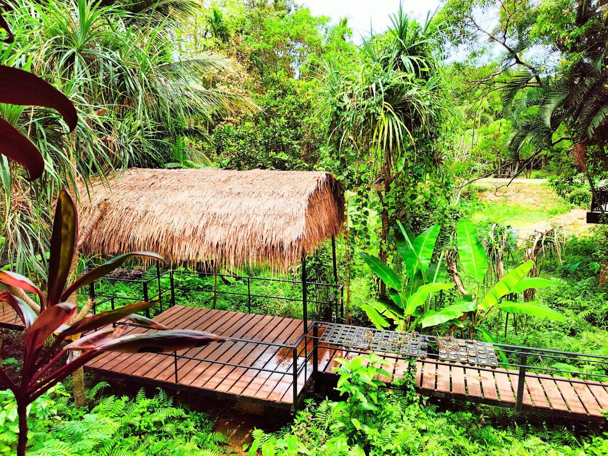 Karon Phuket Jungle Experience Resort מראה חיצוני תמונה