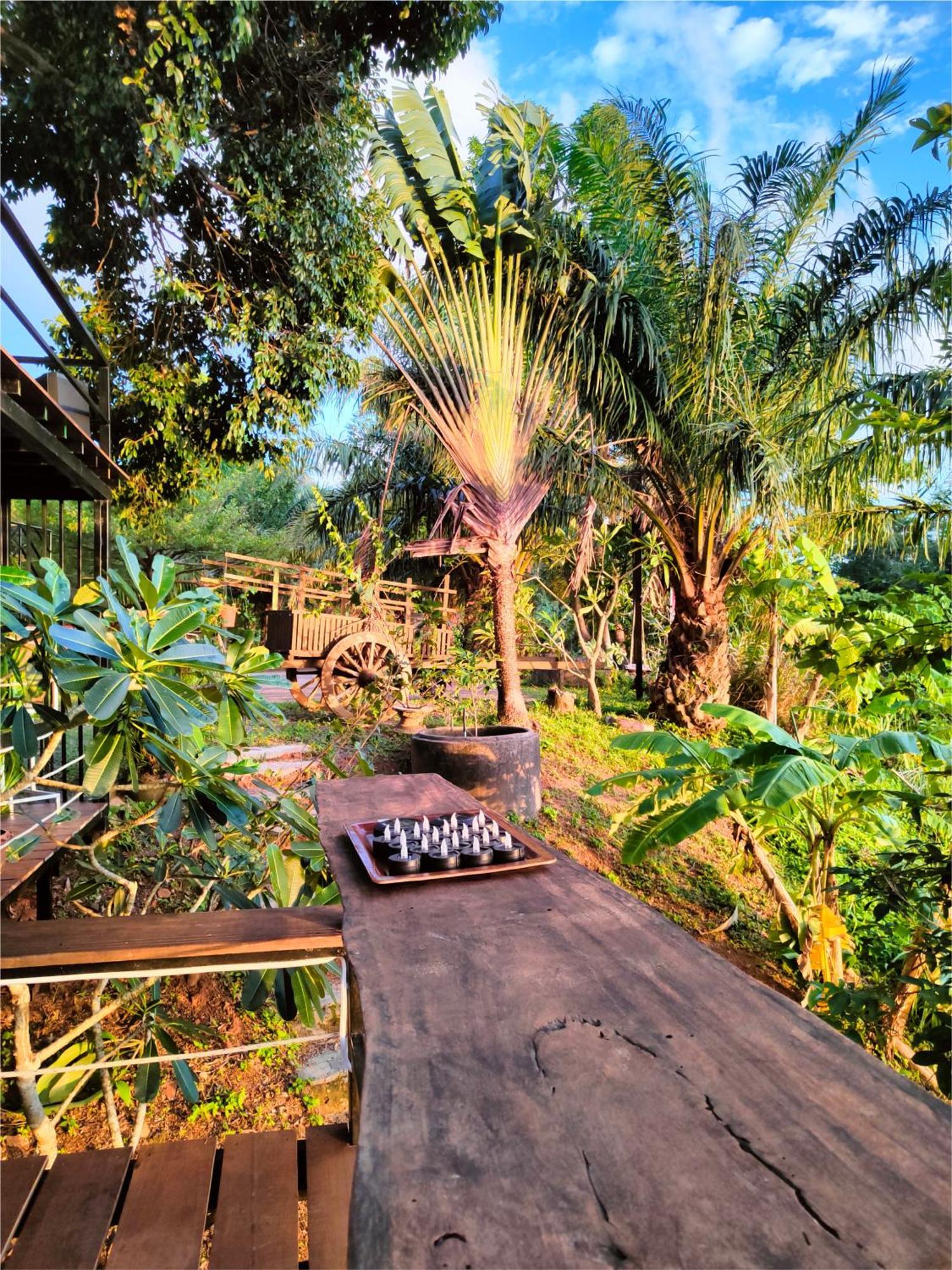 Karon Phuket Jungle Experience Resort מראה חיצוני תמונה